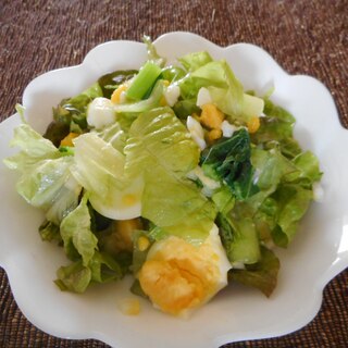 小松菜とゆで卵とレタスのサラダ